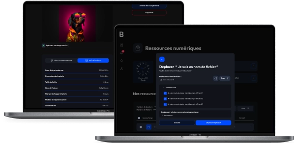 Administration de la Lib affichant une popin pour déplacer des fichiers.